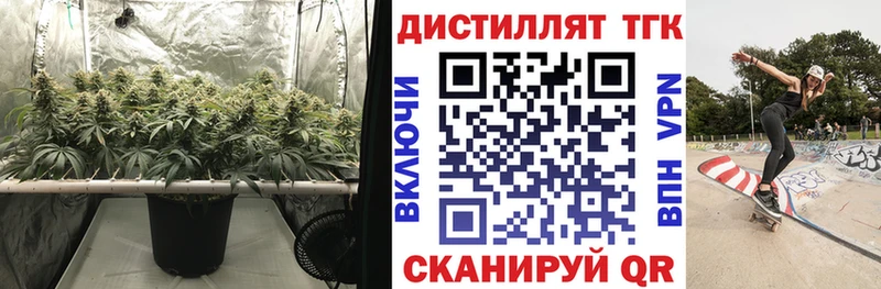 где найти   Большой Камень  Дистиллят ТГК гашишное масло 